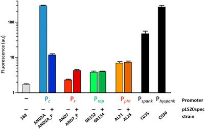 Multiple Layered Control of the Conjugation Process of the Bacillus subtilis Plasmid pLS20